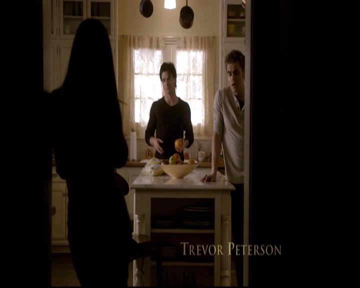 VampireDiariesWorld-dot-org_2x10TheSacrifce0222.jpg