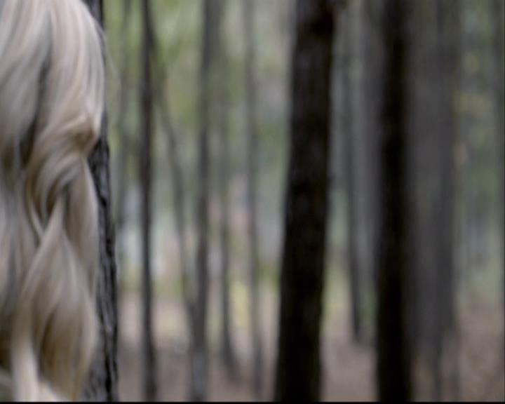 VampireDiariesWorld-dot-org_2x10TheSacrifce0861.jpg