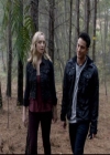 VampireDiariesWorld-dot-org_2x10TheSacrifce0841.jpg