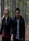 VampireDiariesWorld-dot-org_2x10TheSacrifce0846.jpg