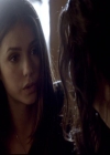 VampireDiariesWorld-dot-org_2x10TheSacrifce1120.jpg