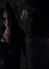 VampireDiariesWorld-dot-org_2x10TheSacrifce1217.jpg