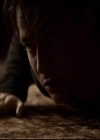 VampireDiariesWorld-dot-org_2x14CryingWolf1185.jpg