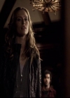 VampireDiariesWorld-dot-org_2x14CryingWolf1385.jpg