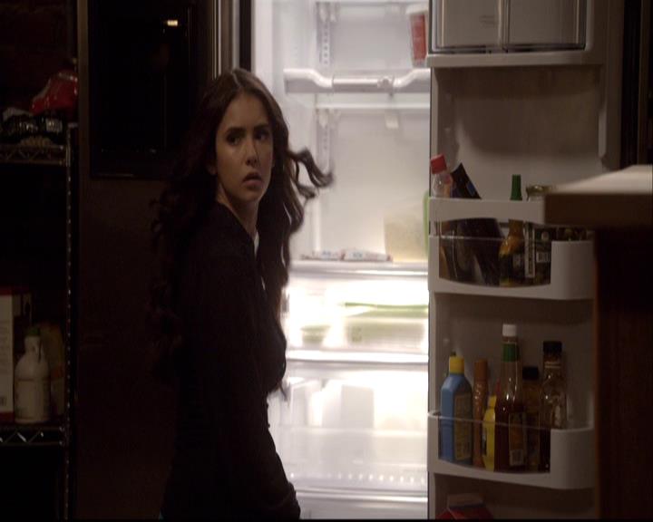 VampireDiariesWorld-dot-org_2x20TheLastDay1056.jpg