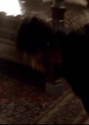 VampireDiariesWorld-dot-org_2x20TheLastDay0556.jpg