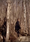 VampireDiariesWorld-dot-org_2x20TheLastDay0976.jpg