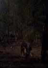 VampireDiariesWorld-dot-org_2x21TheSunAlsoRises0112.jpg