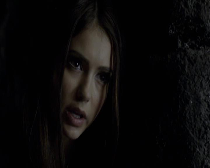 VampireDiariesWorld-dot-org_Seizoen2-DVDExtras-HerOwnWorstEnemy_ElenaKatherineandNina0209.jpg