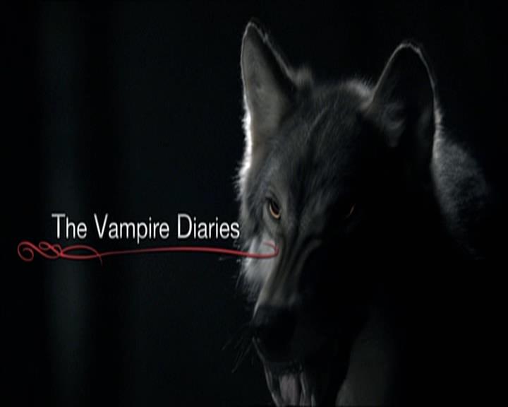 VampireDiariesWorld-dot-org_Seizoen2-DVDExtras-PagesOfTheWolf-BuildingTheBeast0005.jpg