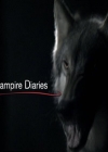 VampireDiariesWorld-dot-org_Seizoen2-DVDExtras-PagesOfTheWolf-BuildingTheBeast0004.jpg