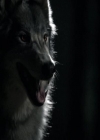 VampireDiariesWorld-dot-org_Seizoen2-DVDExtras-PagesOfTheWolf-BuildingTheBeast0280.jpg