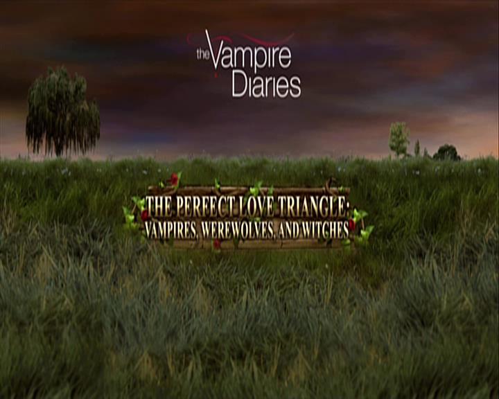 VampireDiariesWorld-dot-org_Seizoen2-DVDExtras-ThePerfectLoveTriangle-VampiresWerewolvesWitches0010.jpg