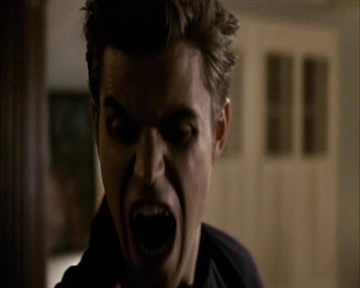 VampireDiariesWorld-dot-org_Seizoen2-DVDExtras-ThePerfectLoveTriangle-VampiresWerewolvesWitches0106.jpg