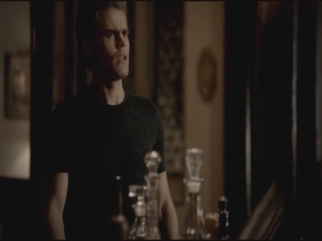 VampireDiariesWorld-dot-org-TVD_3x05TheReckoning2214.jpg