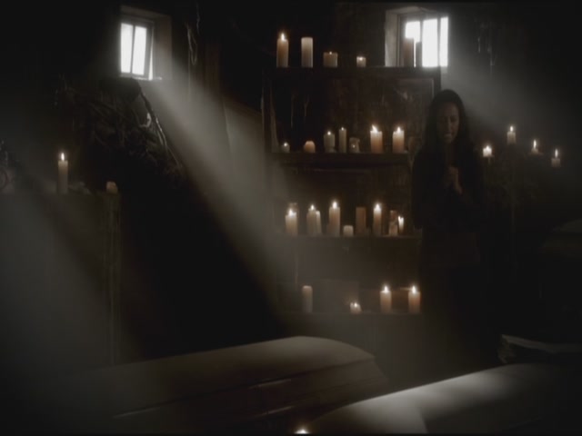 VampireDiariesWorld-dot-org-S3TVD_3x11OurTown0095.jpg