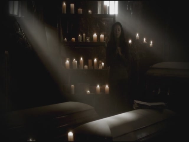 VampireDiariesWorld-dot-org-S3TVD_3x11OurTown0097.jpg