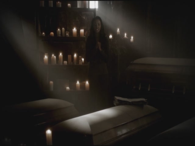 VampireDiariesWorld-dot-org-S3TVD_3x11OurTown0099.jpg