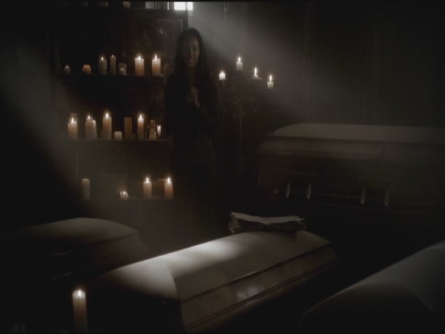 VampireDiariesWorld-dot-org-S3TVD_3x11OurTown0101.jpg