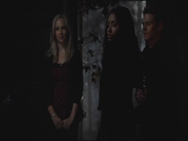 VampireDiariesWorld-dot-org-S3TVD_3x11OurTown0877.jpg