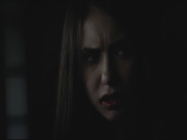 VampireDiariesWorld-dot-org-S3TVD_3x11OurTown1668.jpg