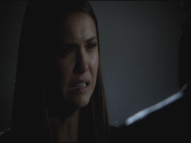 VampireDiariesWorld-dot-org-S3TVD_3x11OurTown1701.jpg