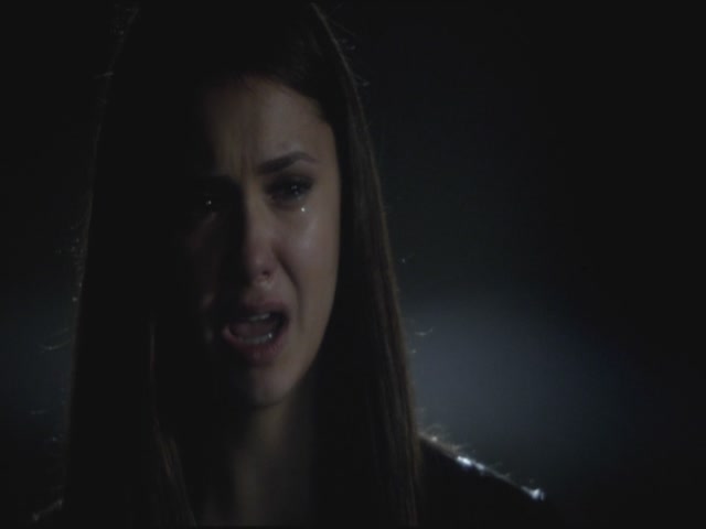 VampireDiariesWorld-dot-org-S3TVD_3x11OurTown1732.jpg