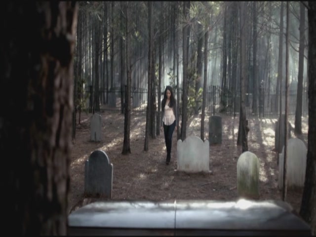 VampireDiariesWorld-dot-org-S3TVD_3x12TheTiesThatBind0016.jpg