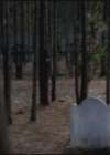 VampireDiariesWorld-dot-org-S3TVD_3x12TheTiesThatBind0031.jpg