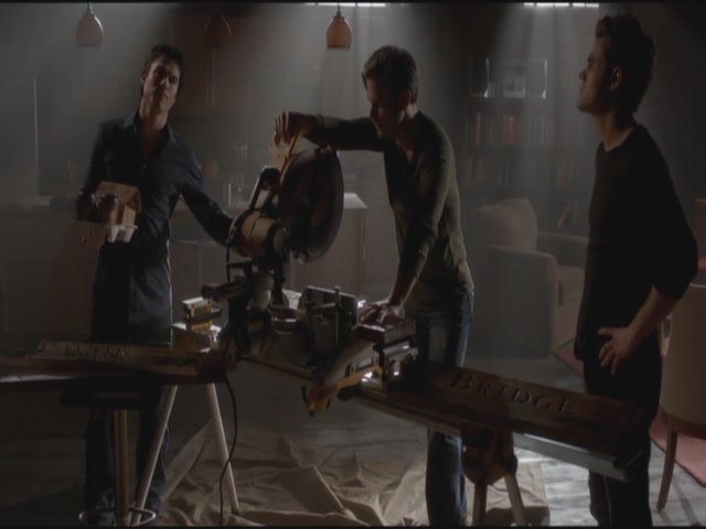 VampireDiariesWorld-dot-org-S3TVD_3x18TheMurderOfOne0064.jpg