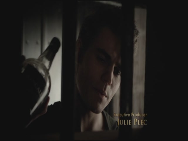 VampireDiariesWorld-dot-org-S3TVD_3x19HeartOfDarkness0305.jpg