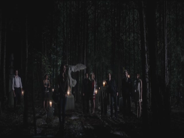 VampireDiariesWorld-dot-org-S3TVD_3x20DoNotGoGentle1786.jpg