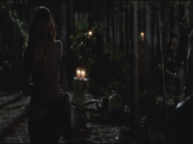 VampireDiariesWorld-dot-org-S3TVD_3x20DoNotGoGentle2104.jpg