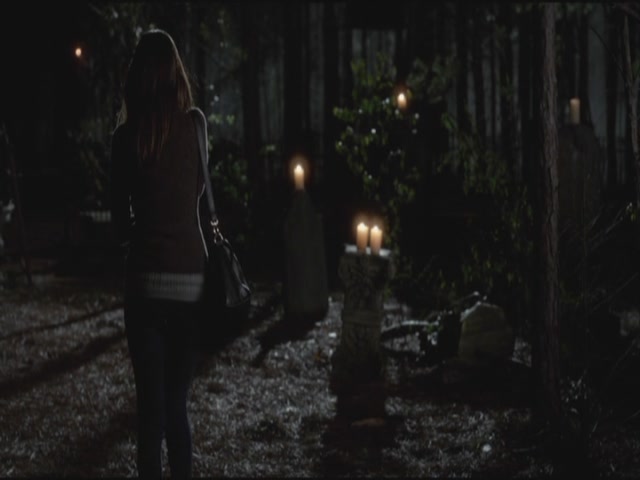 VampireDiariesWorld-dot-org-S3TVD_3x20DoNotGoGentle2105.jpg