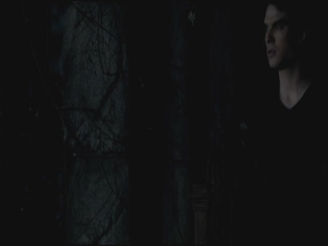 VampireDiariesWorld-dot-org-S3TVD_3x20DoNotGoGentle2232.jpg