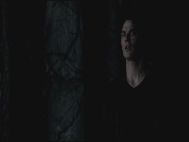 VampireDiariesWorld-dot-org-S3TVD_3x20DoNotGoGentle2233.jpg