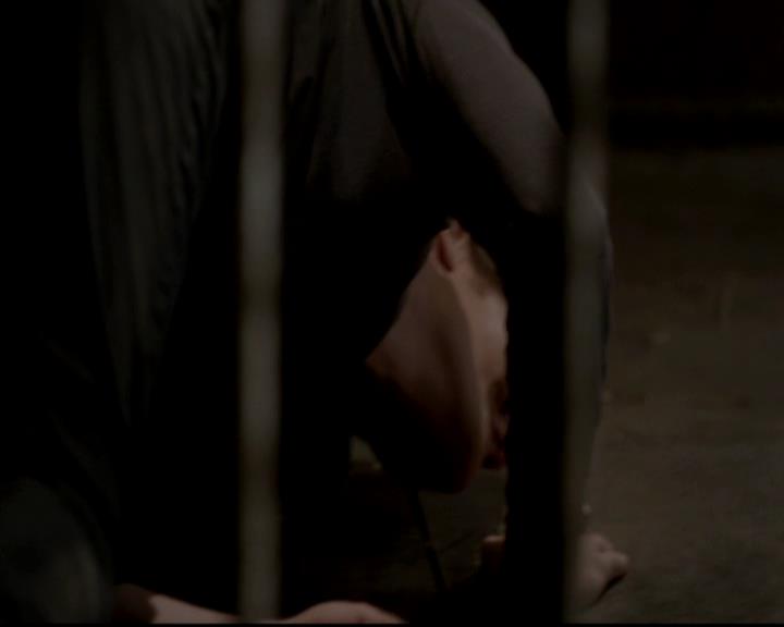 VampireDiariesWorld-dot-org_4x01GrowingPains1421.jpg