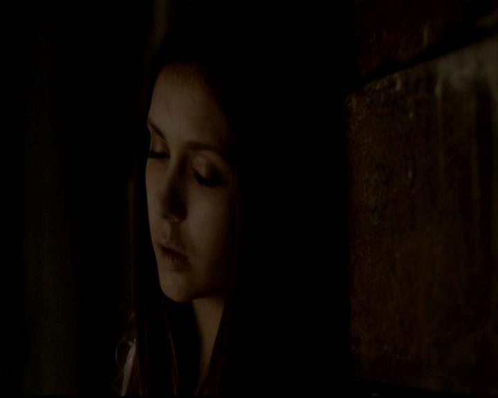 VampireDiariesWorld-dot-org_4x01GrowingPains1516.jpg