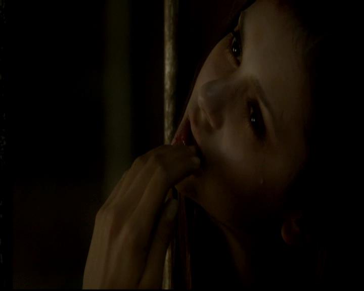 VampireDiariesWorld-dot-org_4x01GrowingPains1850.jpg