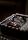 VampireDiariesWorld-dot-org_4x01GrowingPains2046.jpg