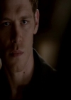 VampireDiariesWorld-dot-org_4x01GrowingPains2082.jpg