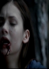 VampireDiariesWorld-dot-org_4x02Memorial0060.jpg