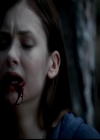 VampireDiariesWorld-dot-org_4x02Memorial0061.jpg