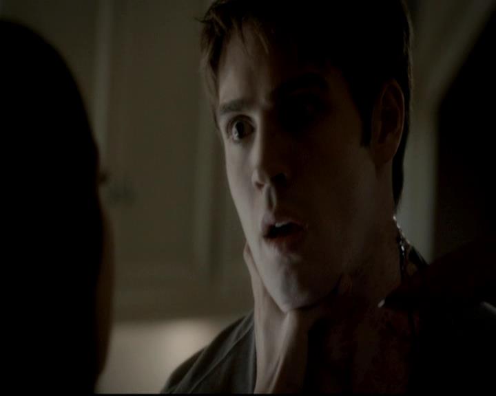 VampireDiariesWorld-dot-org_4x06WeAllGoALittleMadSometimes0097.jpg