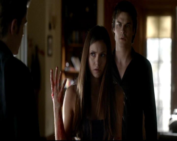 VampireDiariesWorld-dot-org_4x06WeAllGoALittleMadSometimes0147.jpg