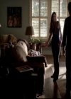 VampireDiariesWorld-dot-org_4x06WeAllGoALittleMadSometimes0128.jpg