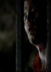 VampireDiariesWorld-dot-org_4x09OComeAllYeFaithful1814.jpg