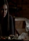 VampireDiariesWorld-dot-org_4x09OComeAllYeFaithful1849.jpg