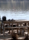 VampireDiariesWorld-dot-org_4x10AfterSchoolSpecial0290.jpg