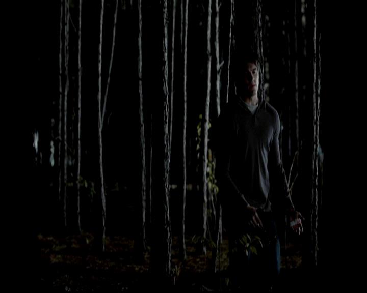 VampireDiariesWorld-dot-org_4x11CatchMeIfYouCan1779.jpg